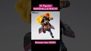 SH FIGUARTS BLACKBEARD PROMOS HAVE RELEASED!!!! #onepiece #shfiguarts #luffy #anime #actionfigures