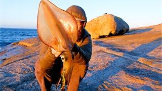 Southern Calamari Catch and Cook