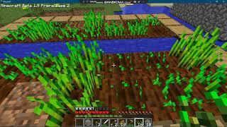 Minecraft Beta 1.9  Prelease 2