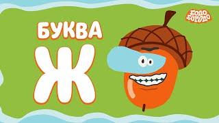 Буква Ж - Бодо Бородо | ПРЕМЬЕРА | мультфильмы для детей 0+