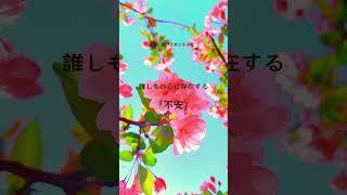 癒しの動画 ー不安解消ー #bgm #リラックス #悩み