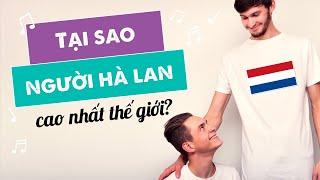 Bí quyết nào giúp người Hà Lan tăng chiều cao nhanh đến vậy?