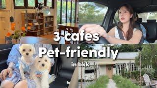 3 cafes pet-friendly ในกรุงเทพฯ พาสัตว์เลี้ยงไปเที่ยวได้