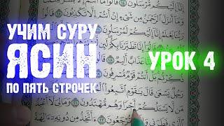 Урок 4 - Учим "ЯСИН" (по пять строчек) / 36-я сура Корана