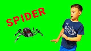 Как сбежать от паука в Spider Roblox