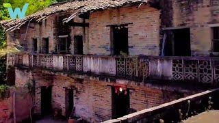 The poor boy and his dog returned to the countryside to clean up and renovate the rotten house