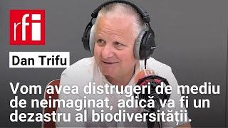 Proiectul hidroenergetic Turnu Măgurele-Nikopol, ”un dezastru al biodiversității” • RFI