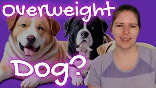 Veterinarian's Rx for Canine Weight Loss Success