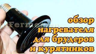 Керамический ИК нагреватель Е27 для брудера и курятника. Простой и надежный.