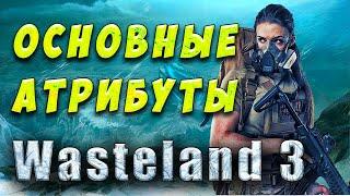 Wasteland 3  Гайд - Создание персонажа - Характеристики/Параметры/Атрибуты