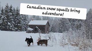 Walk with me in a snowstorm!