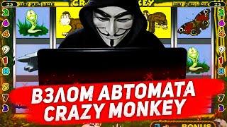 Алгоритм взлома игрового автомата Crazy Monkey в казино Вулкан