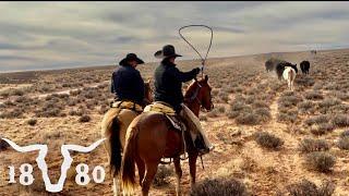 Preparing For Deep Winter Ranching In The Desert. More From 2024