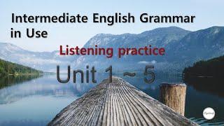 1~5 Unit Intermediate English Grammar in Use Listening practice