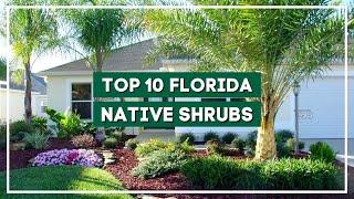 10 Most Popular Florida Native Shrubs to Brighten Up Your Space 