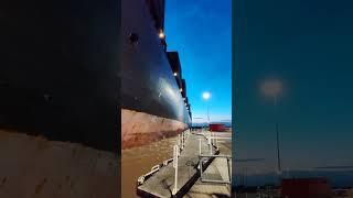 MSC Pratiti a 294 m container vessel