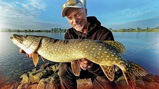 Erfolgreich Angeln vom Ufer - so fängst du MEHR FISCH im Fluss!