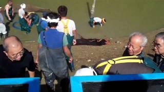 Matsunosuke Harvest Oct 23, 2010