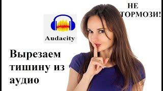 Как вырезать тишину из аудиозаписи, если лектор долго думал / Audacity