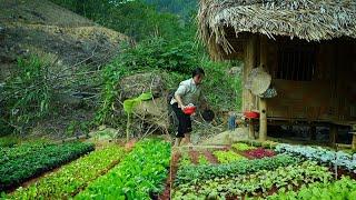 Homeless Girl Discovers Abandoned House In The Woods & She Renovates It