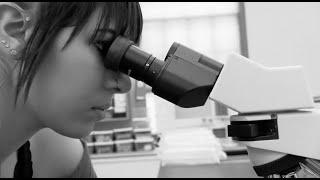 University of Saint Joseph's Biology Degree Program