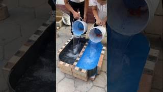 Amazing Fish Pot  #shorts #ytshorts #fish