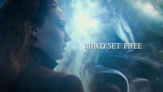 Jean Grey (Phoenix) | Bird set free