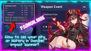 How to use Paimon.moe? || How to know your pity in Genshin impact for mobile