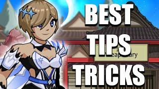 The 5 BEST FAST TIPS for BEGINNERS in REDHERO AQW Private Server