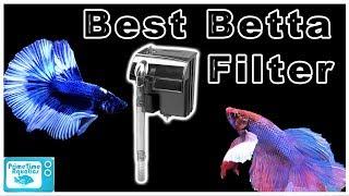 The Best Betta Filters for Your Aquarium