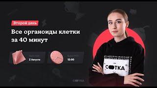 Все органоиды клетки за 40 минут | ЕГЭ БИОЛОГИЯ| Онлайн-школа СОТКА