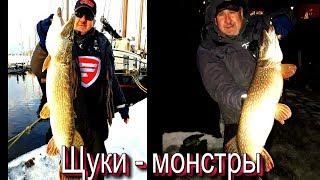 Щуки монстры (Pike monsters) больше метра , на микро "Грушку". Ловля щуки на грушки - ультралайтом.