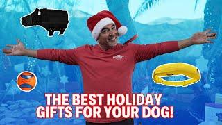 The Best Gifts For Your Dog This Holiday Season | DOG TIPS #9