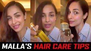 Malaika Arora Khan Sfaturi de îngrijire personală pentru creșterea părului | Malla's Hair Care Sfaturi de frumusețe .