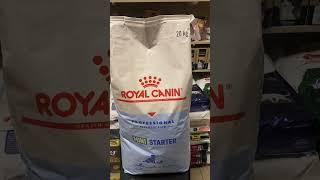 Royal Canin Mini Starter Kopek Mamasi Acilisi