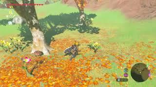 Корок и цветы. Гайд по The Legend of Zelda: Breath of the Wild #38