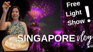 Gardens by the Bay -Don't miss this free Light Show | Din Tai Fung Momos | Singapore Vlog 2024 Ep 4