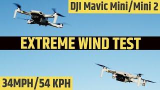 DJI MINI 2 VS MAVIC MINI EXTREME WIND TEST COMPARISON