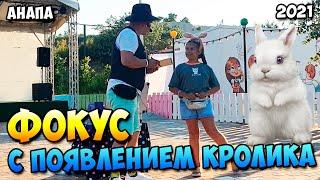 Фокус с кроликом