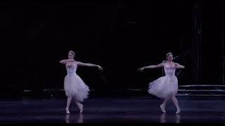 SWAN LAKE - Two Swans (Melissa Hamilton - Itziar Mendizabal - Royal Ballet)