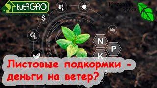 СЕКРЕТЫ ЛИСТОВЫХ ПОДКОРМОК. КОРМИТЬ и НАКОРМИТЬ, а не просто ПРЫСКАТЬ. Этот секретный ингредиент...