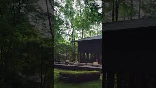 Aman Kyoto: Serenity Hidden in a Forest Temple /#shorts #popup #design  #visual #Luxury #Hotel