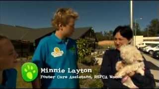 RSPCA QLD - All About Animals TV Show