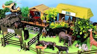 Animal Rescue Center Dioramas and Animal Figurines