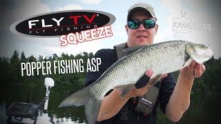 FLY TV Squeeze - Popper Fishing for Asp (Fly Fishing)