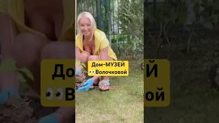 Что растет на участке у Анастасии Волочковой? #волочкова #звезды #загородныйдом