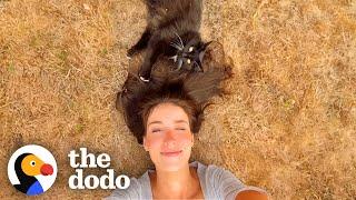 Feral Cat Takes 3 Years To Trust This Woman! | The Dodo