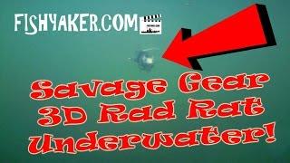 Savage Gear 3D Rad Rat Fishing Lure - Underwater Footage: Episode 477