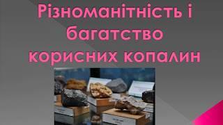 Різноманітність і багатство корисних копалин