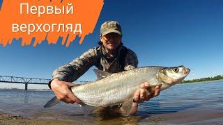 Мой первый верхогляд. Стекляха Immersion X8, Haibo Smart 50HMCS